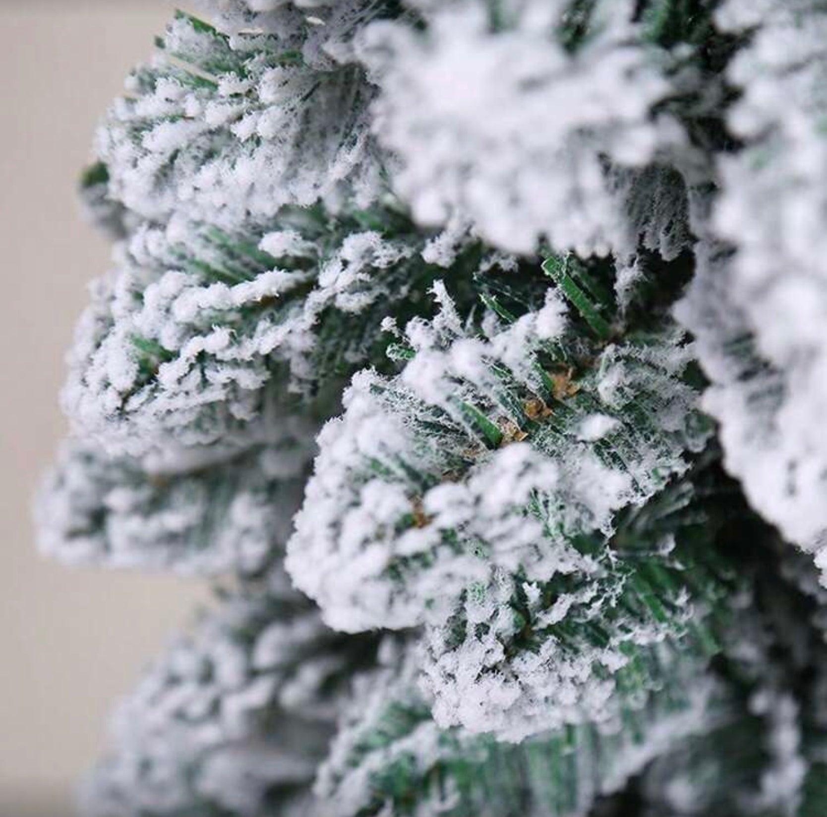 Tannengirlande mit Schnee